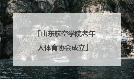 山东航空学院老年人体育协会成立