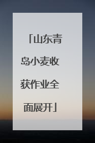 山东青岛小麦收获作业全面展开