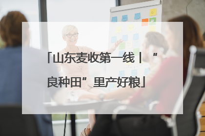 山东麦收第一线丨“良种田”里产好粮