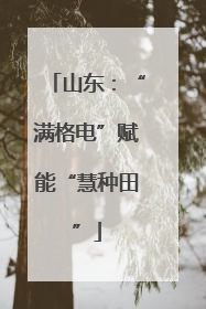 山东：“满格电”赋能“慧种田”