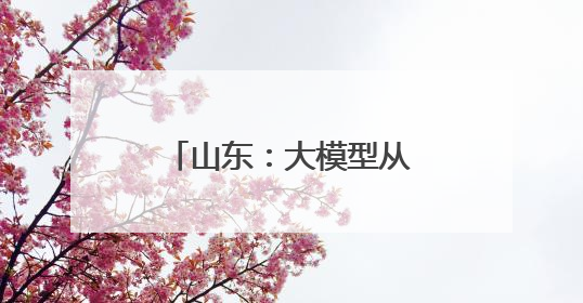 山东：大模型从“对话框”加速跑向“应用场”