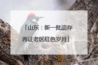 山东：新一批遗存再证老区红色岁月