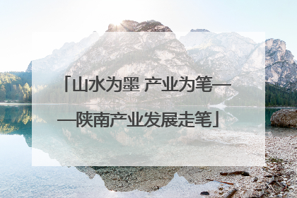 山水为墨 产业为笔——陕南产业发展走笔