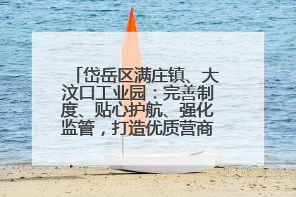 岱岳区满庄镇、大汶口工业园：完善制度、贴心护航、强化监管，打造优质营商“强磁场”