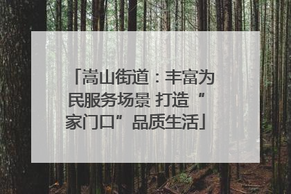 嵩山街道：丰富为民服务场景 打造“家门口”品质生活