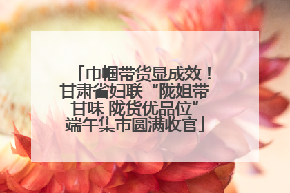 巾帼带货显成效！甘肃省妇联“陇姐带甘味 陇货优品位”端午集市圆满收官