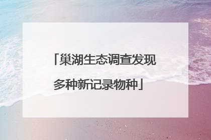 巢湖生态调查发现多种新记录物种