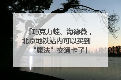 巧克力蛙、海德薇，北京地铁站内可以买到“魔法”交通卡了
