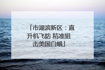 市湖滨新区：直升机飞防 精准狙击美国白蛾