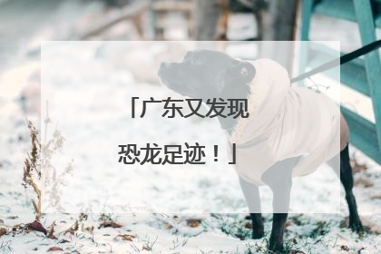 广东又发现恐龙足迹！