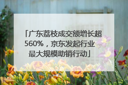 广东荔枝成交额增长超560%，京东发起行业最大规模助销行动
