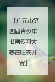 广元市第四届青少年书画传习大赛在旺苍开赛