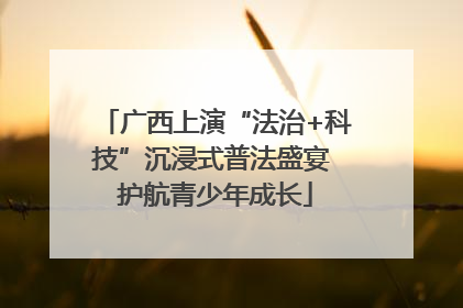 广西上演“法治+科技”沉浸式普法盛宴 护航青少年成长