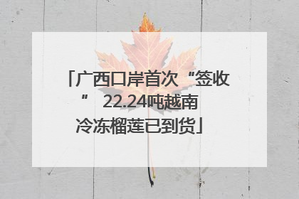 广西口岸首次“签收” 22.24吨越南冷冻榴莲已到货