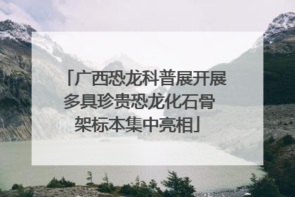 广西恐龙科普展开展 多具珍贵恐龙化石骨架标本集中亮相