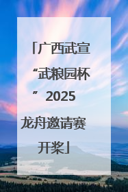 广西武宣“武粮园杯”2025龙舟邀请赛开桨