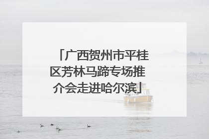 广西贺州市平桂区芳林马蹄专场推介会走进哈尔滨