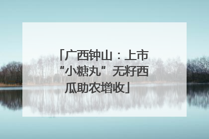 广西钟山：上市“小糖丸”无籽西瓜助农增收