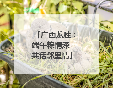 广西龙胜：端午粽情深 共话邻里情