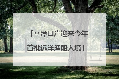 平潭口岸迎来今年首批远洋渔船入境
