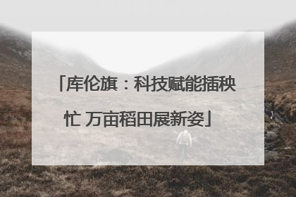 库伦旗：科技赋能插秧忙 万亩稻田展新姿