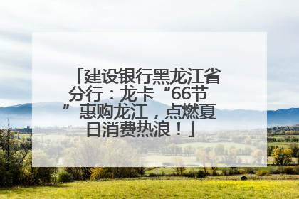 建设银行黑龙江省分行：龙卡“66节”惠购龙江，点燃夏日消费热浪！