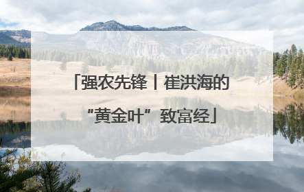 强农先锋丨崔洪海的“黄金叶”致富经