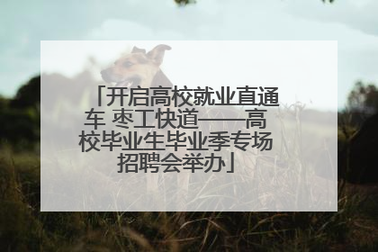 开启高校就业直通车 枣工快道——高校毕业生毕业季专场招聘会举办