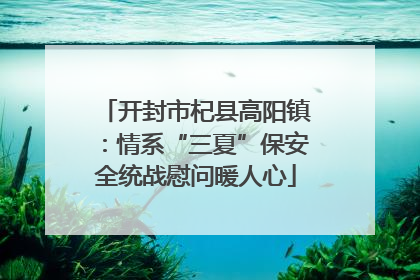 开封市杞县高阳镇：情系“三夏”保安全统战慰问暖人心
