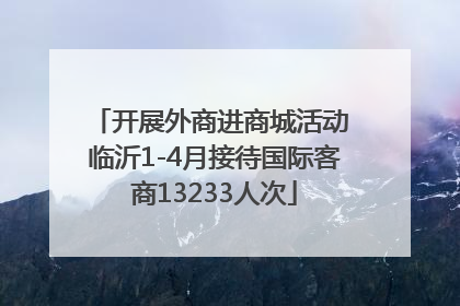开展外商进商城活动 临沂1-4月接待国际客商13233人次