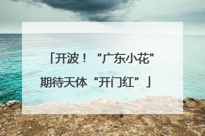 开波！“广东小花”期待天体“开门红”