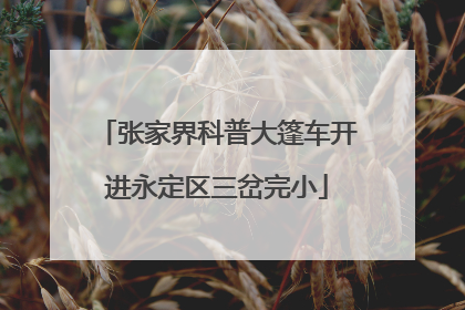 张家界科普大篷车开进永定区三岔完小