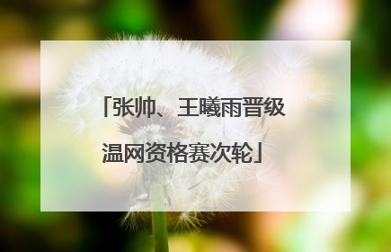张帅、王曦雨晋级温网资格赛次轮