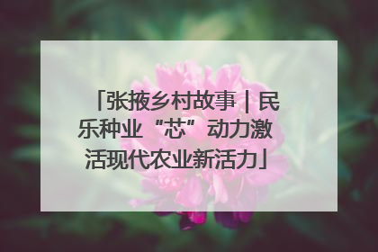 张掖乡村故事｜民乐种业“芯”动力激活现代农业新活力
