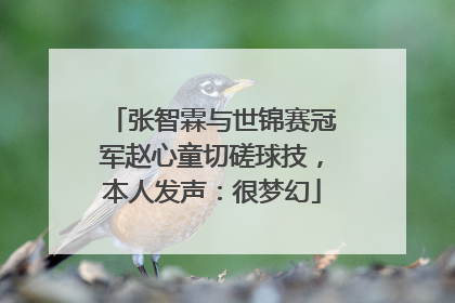 张智霖与世锦赛冠军赵心童切磋球技，本人发声：很梦幻