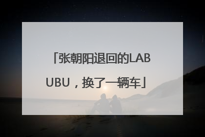 张朝阳退回的LABUBU，换了一辆车