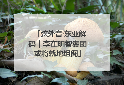 弦外音·东亚解码｜李在明智囊团或将就地组阁