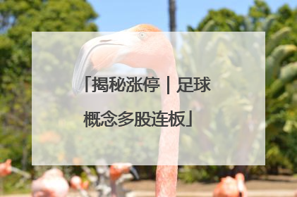 揭秘涨停｜足球概念多股连板