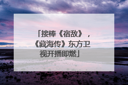 接棒《宿敌》，《藏海传》东方卫视开播即燃