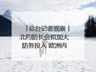 总台记者观察丨北约防长会拟加大防务投入 欧洲内部分歧难掩