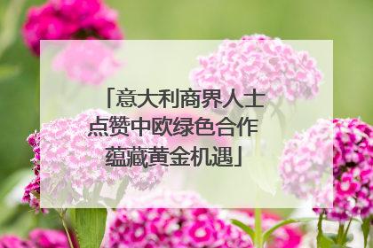 意大利商界人士点赞中欧绿色合作蕴藏黄金机遇