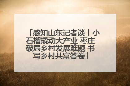 感知山东记者谈丨小石榴撬动大产业 枣庄破局乡村发展难题 书写乡村共富答卷