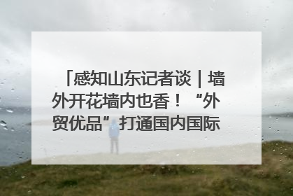 感知山东记者谈｜墙外开花墙内也香！“外贸优品”打通国内国际市场“旋转门”