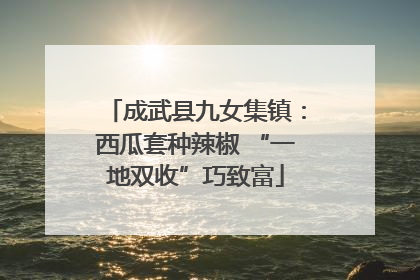 成武县九女集镇：西瓜套种辣椒 “一地双收”巧致富
