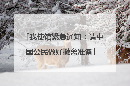 我使馆紧急通知：请中国公民做好撤离准备