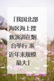 我国北部海区海上搜救演训在烟台举行 系近年来规模最大