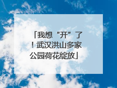 我想“开”了！武汉洪山多家公园荷花绽放
