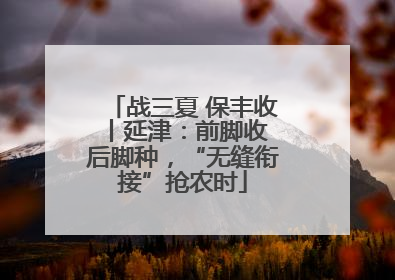 战三夏 保丰收丨延津：前脚收 后脚种，“无缝衔接”抢农时