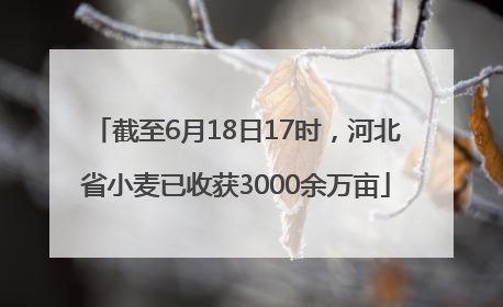 截至6月18日17时，河北省小麦已收获3000余万亩