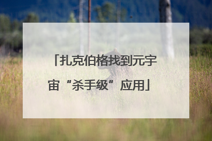 扎克伯格找到元宇宙“杀手级”应用